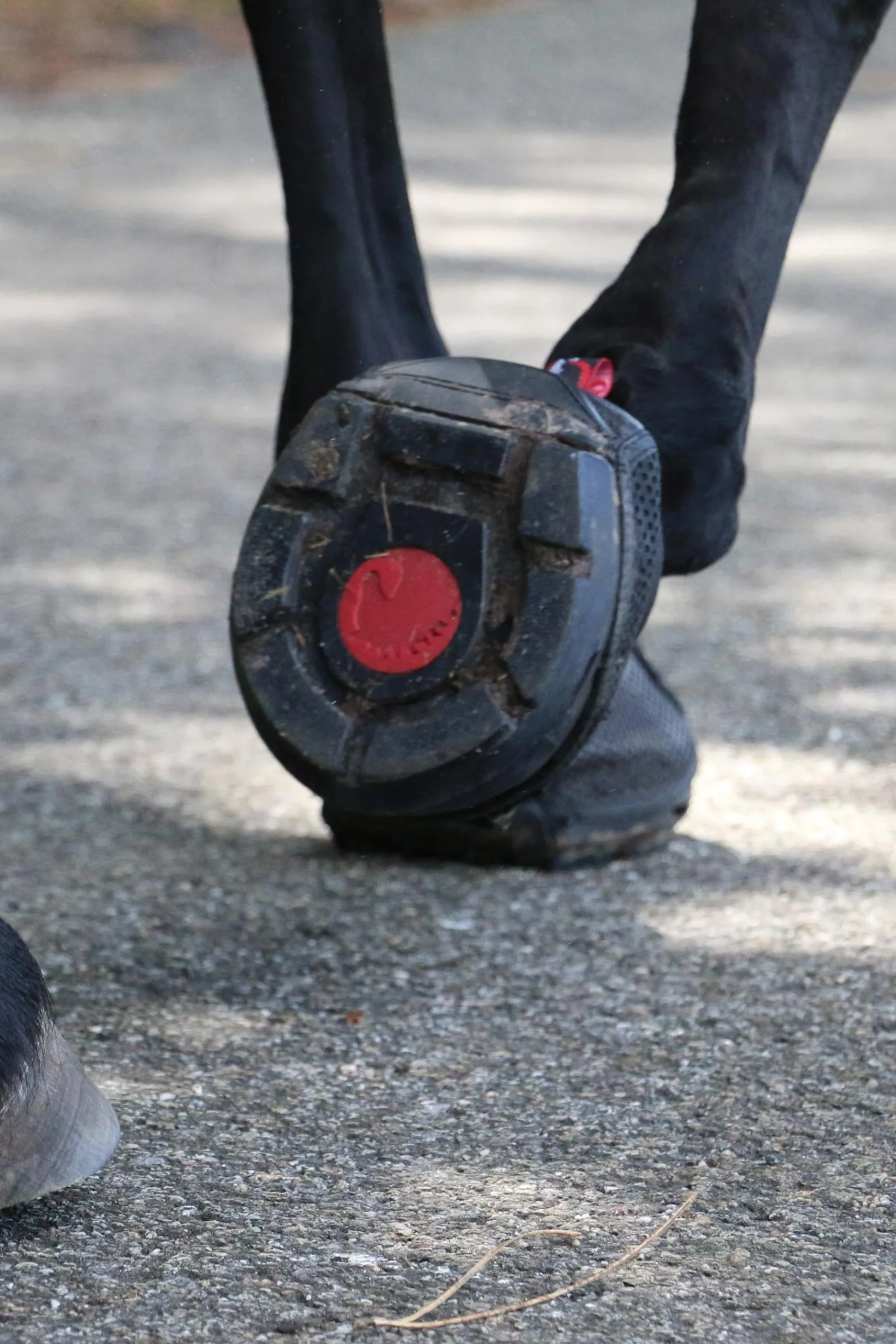 Cavallo Hoof Boots F.R.A. Trek SRS Hufschuhe (regulär/Paar)* Hufschuhe & Medizinische Hufschuhe