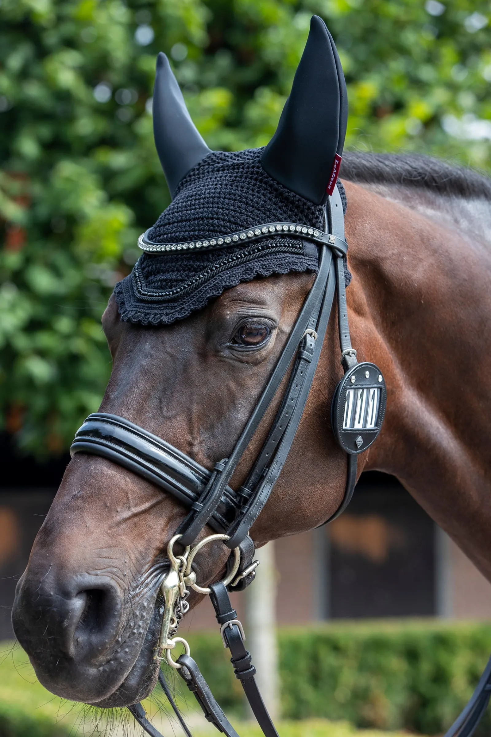 LeMieux Trensenummerhalter Diamante (1 Stück)* Trensen-Zubehör