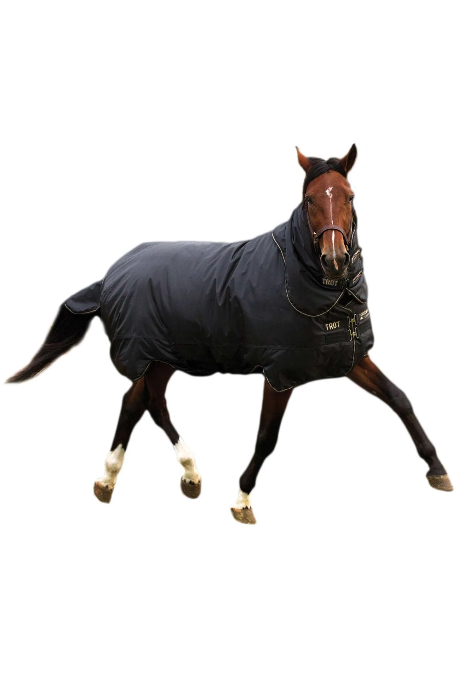 Horseware Trot Plus Winterdecke mit abnehmbarem Halsteil, 350g* Mittelschwere & Schwere Winterdecken