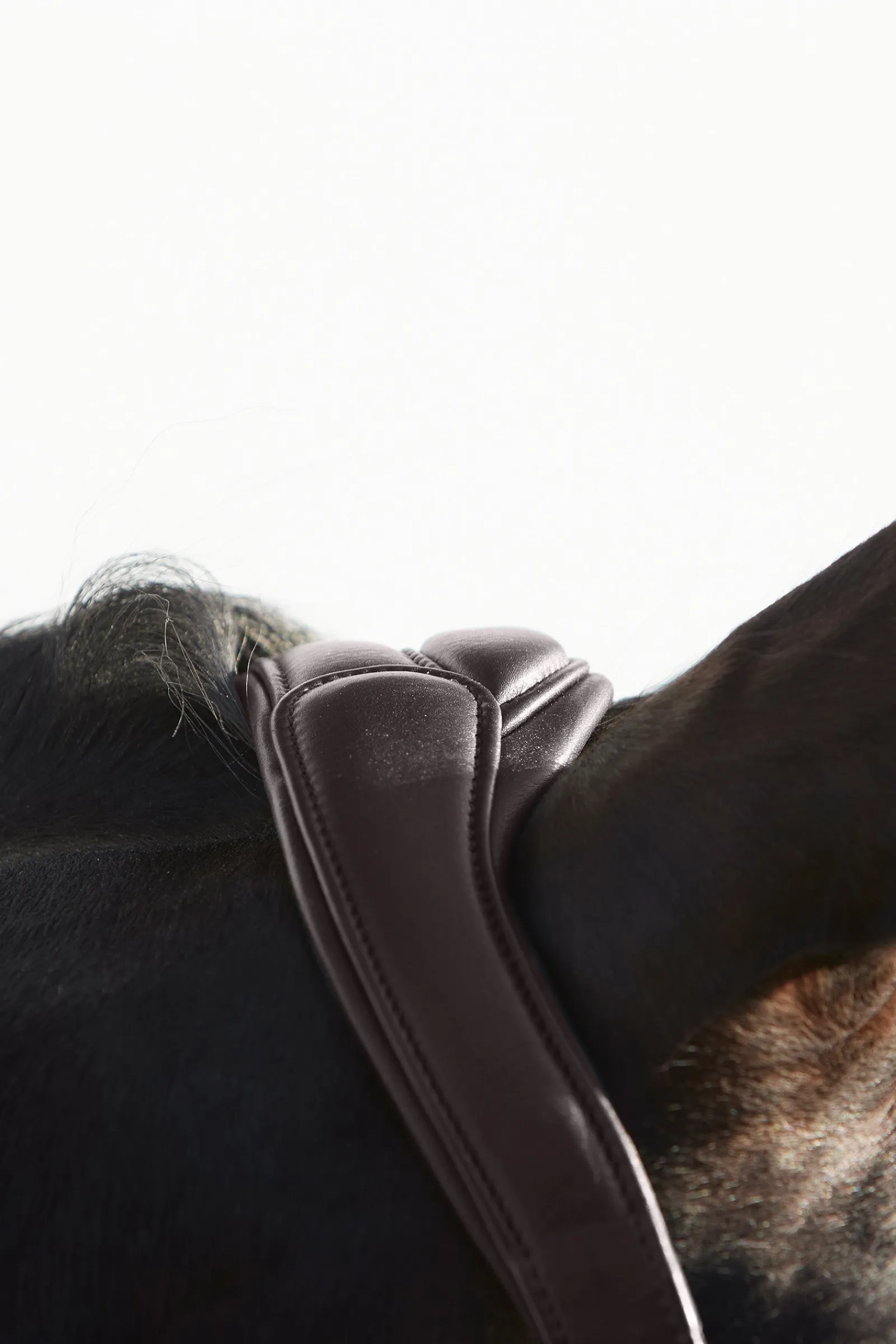 Kieffer Ultrasoft® Deluxe Leder-Stallhalfter* Halfter