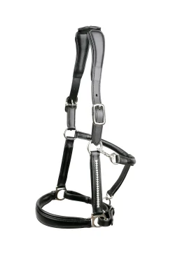 Kieffer Ultrasoft®Luna Halfter* Halfter