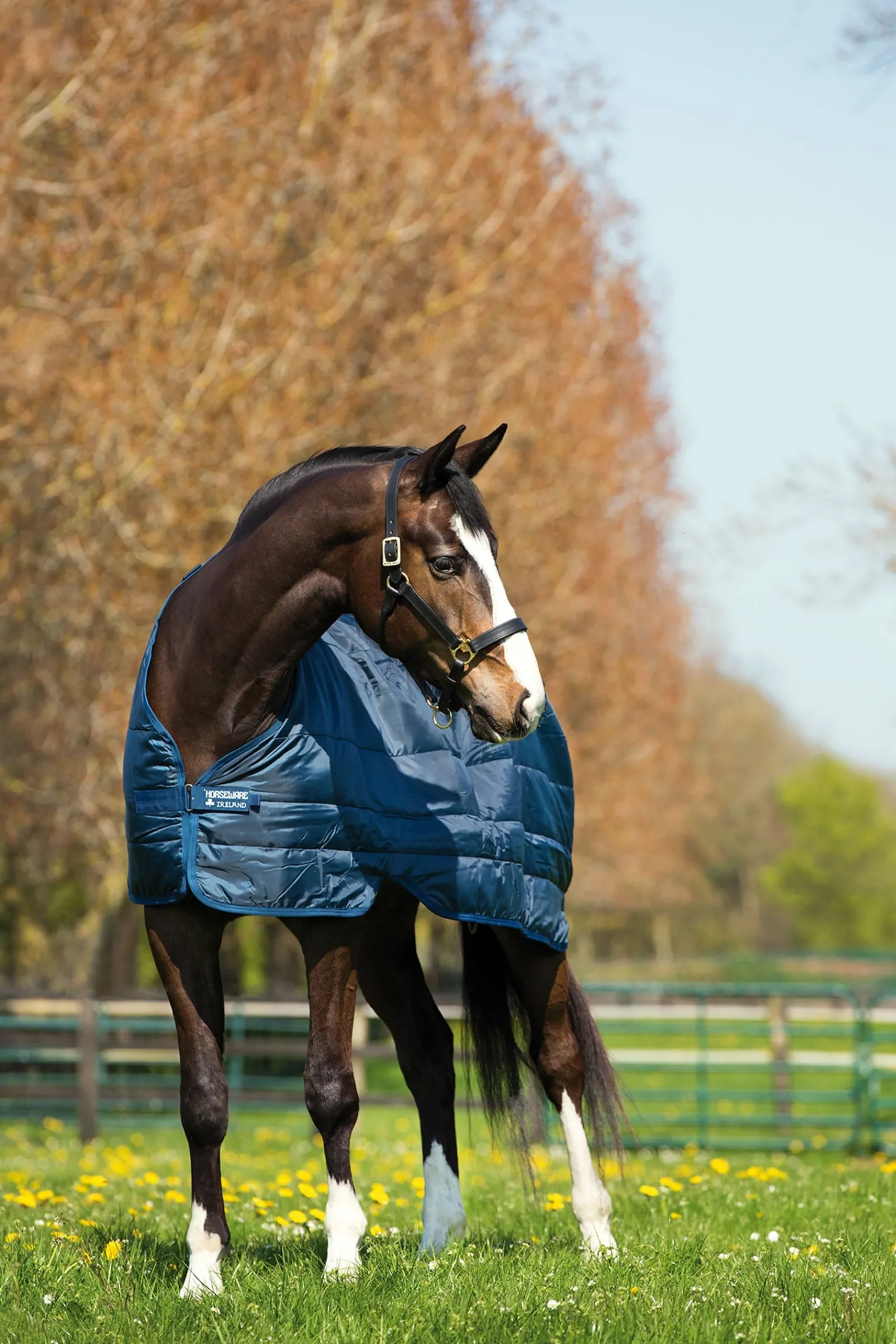 Horseware Unterdecke 400 g* Stall- & Unterdecken