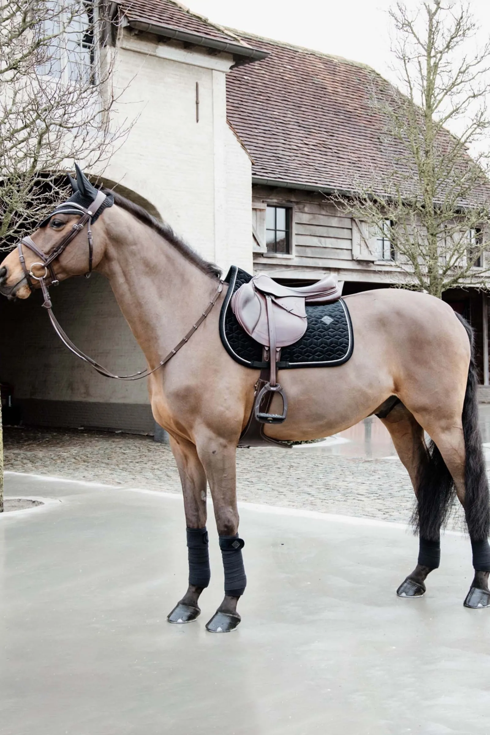 Kentucky Horsewear Velvet Basic Springschabracke* Spring- & Vielseitigkeitsschabracken