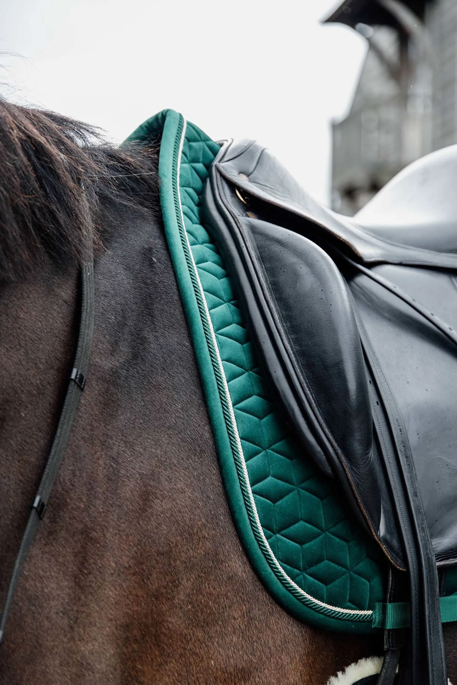 Kentucky Horsewear Velvet Dressurschabracke* Dressurschabracken