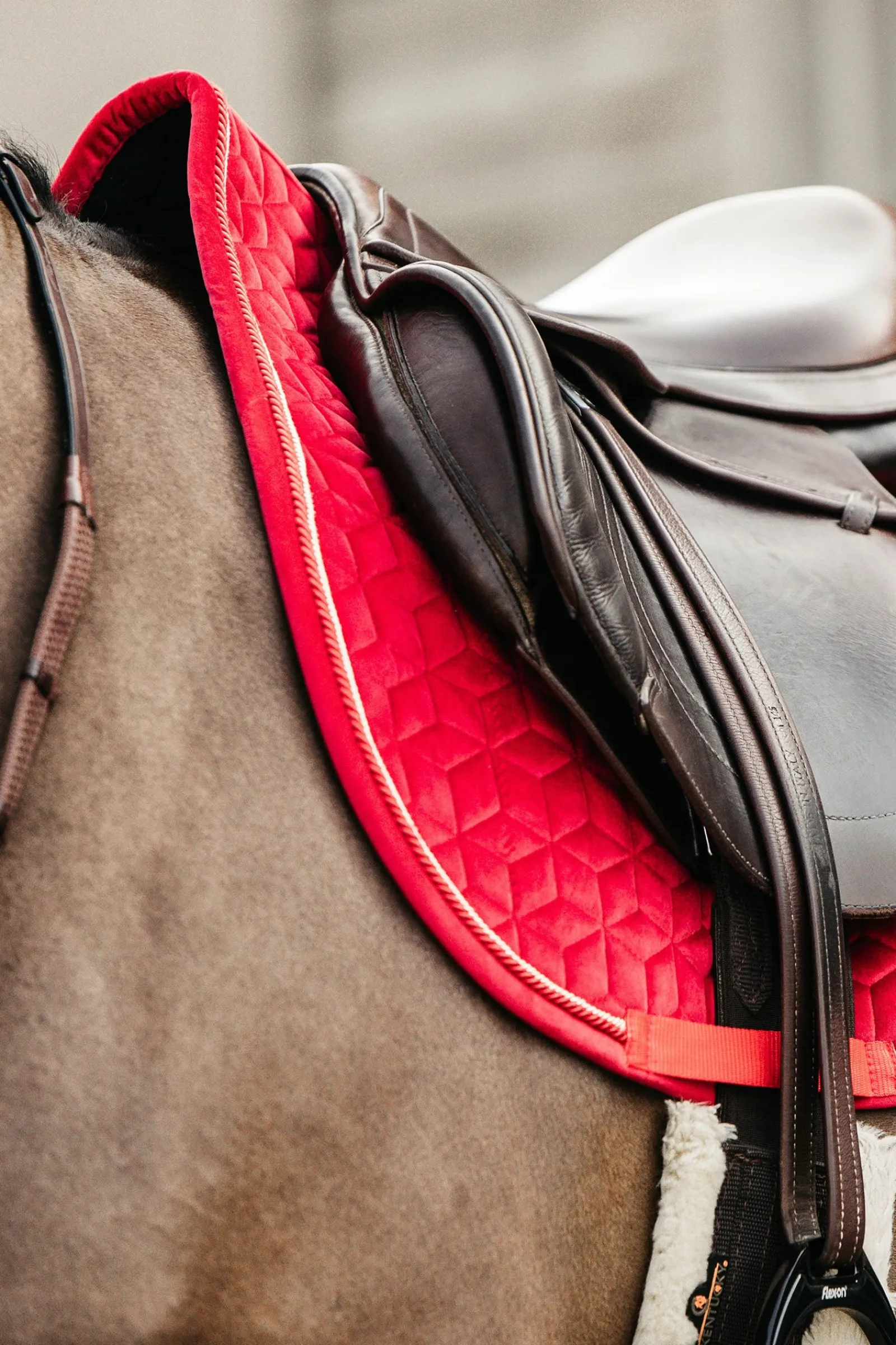 Kentucky Horsewear Velvet Dressurschabracke* Dressurschabracken