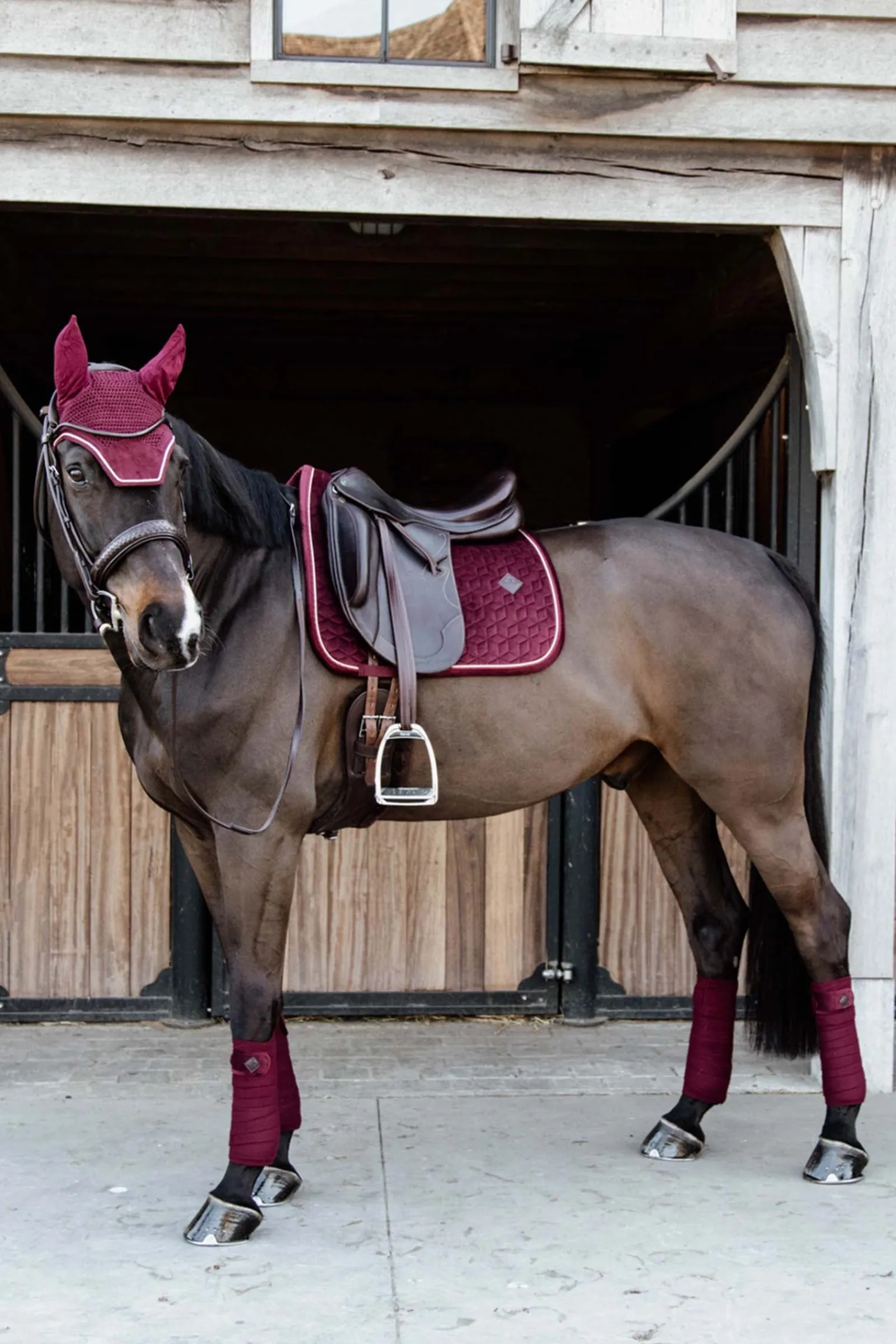Kentucky Horsewear Velvet Dressurschabracke* Dressurschabracken