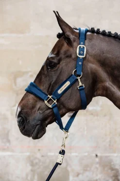 Kentucky Horsewear Velvet Halfter* Halfter