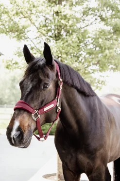 Kentucky Horsewear Velvet Halfter* Halfter