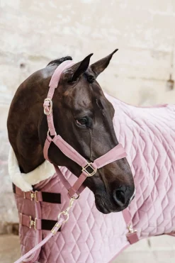 Kentucky Horsewear Velvet Halfter* Halfter