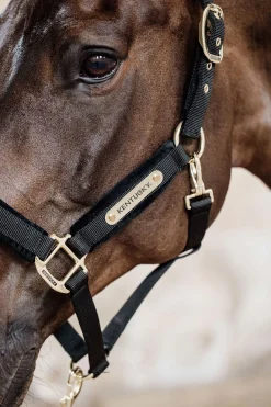 Kentucky Horsewear Velvet Halfter* Halfter