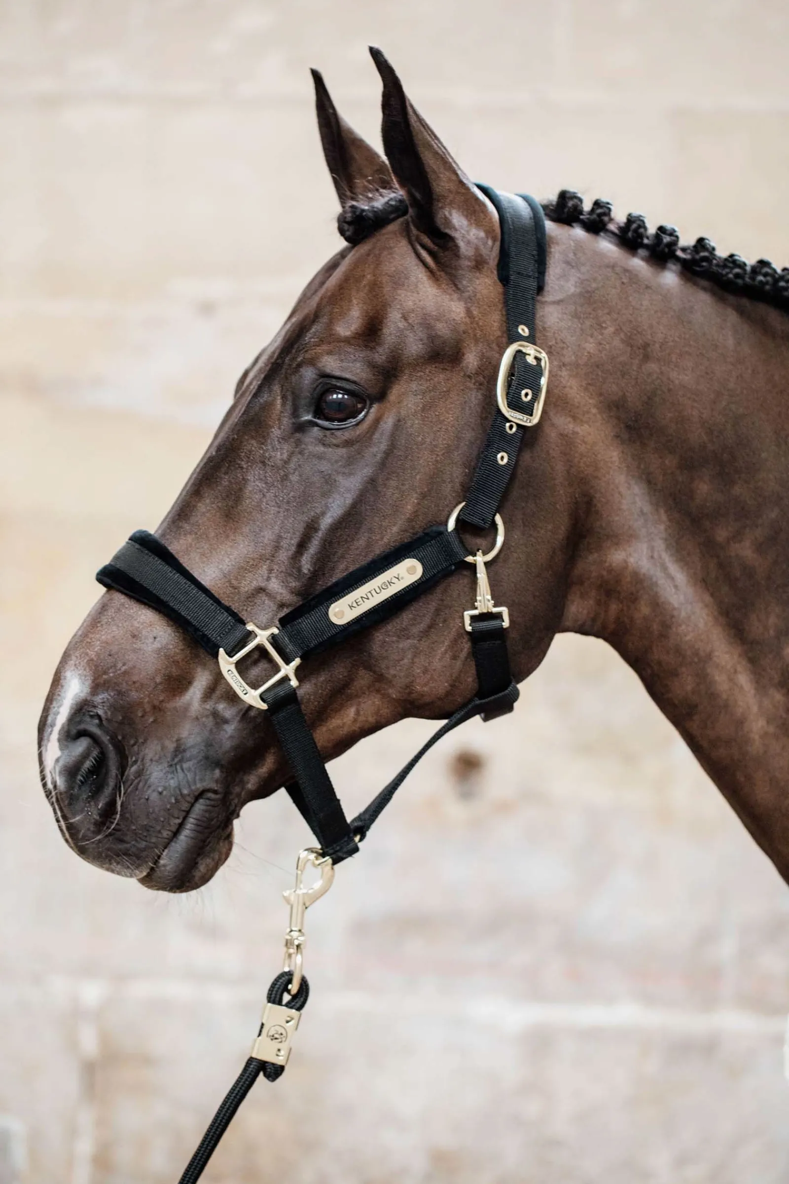 Kentucky Horsewear Velvet Halfter* Halfter