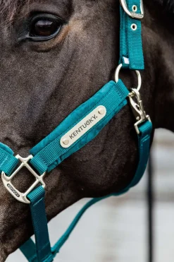 Kentucky Horsewear Velvet Halfter* Halfter