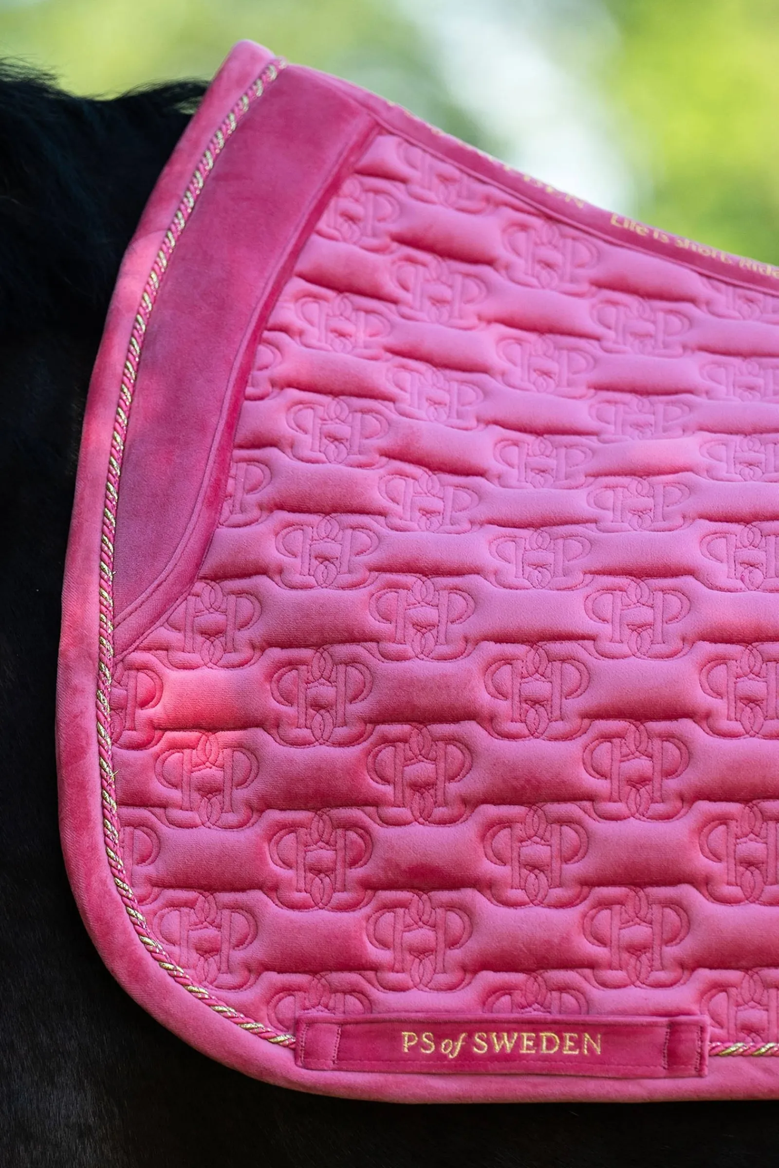 PS of Sweden Velvet Monogram Dressur Schabracke* Dressurschabracken