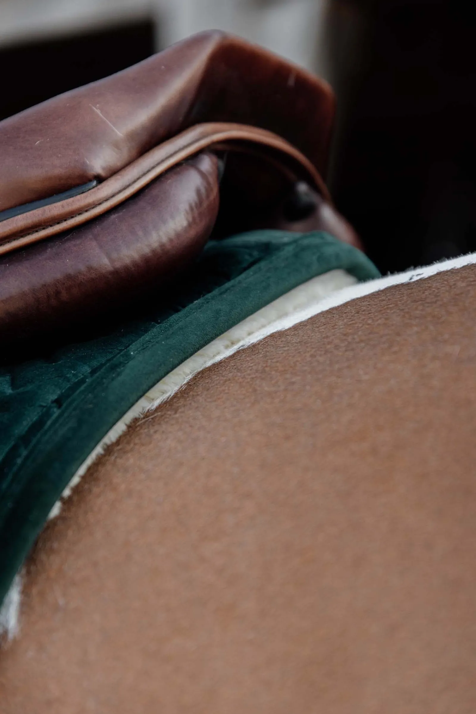 Kentucky Horsewear Velvet Skin Friendly Springschabracke* Spring- & Vielseitigkeitsschabracken