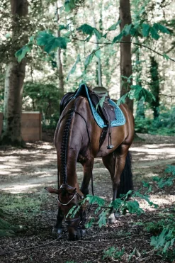 Kentucky Horsewear Velvet Springschabracke* Spring- & Vielseitigkeitsschabracken
