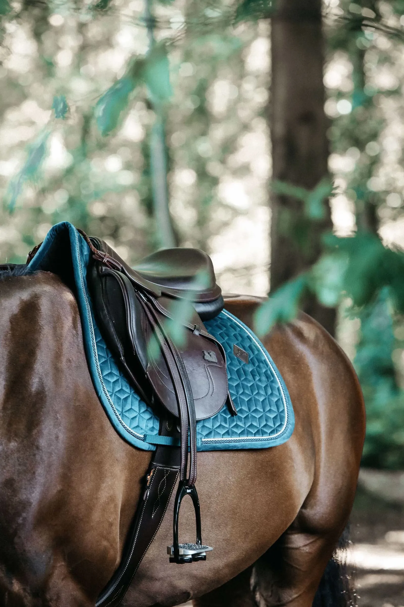 Kentucky Horsewear Velvet Springschabracke* Spring- & Vielseitigkeitsschabracken