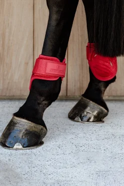 Kentucky Horsewear Velvet Streichkappen für Jungferde* Streichkappen