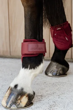 Kentucky Horsewear Velvet Streichkappen für Jungferde* Streichkappen