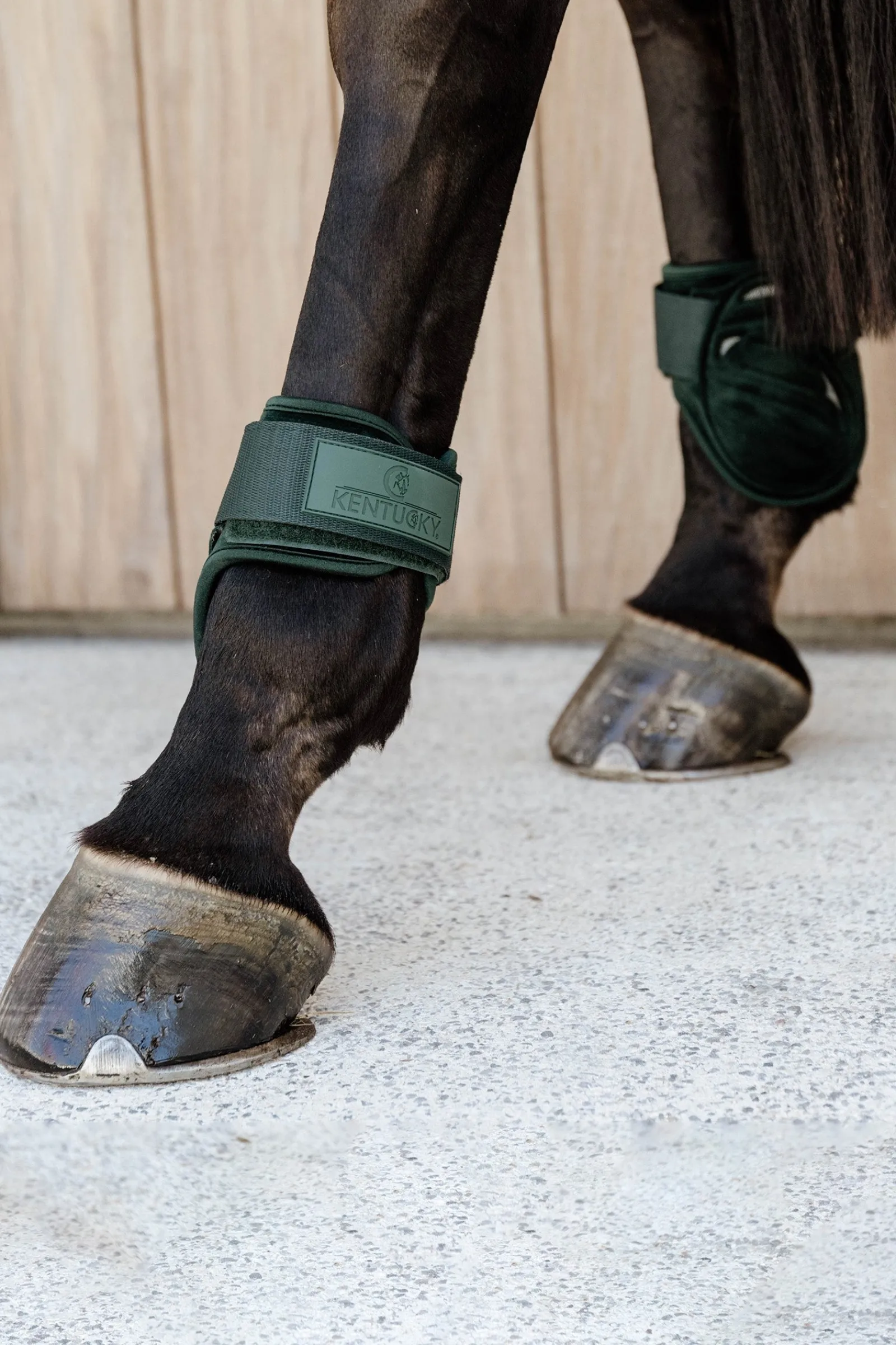 Kentucky Horsewear Velvet Streichkappen für Jungferde* Streichkappen
