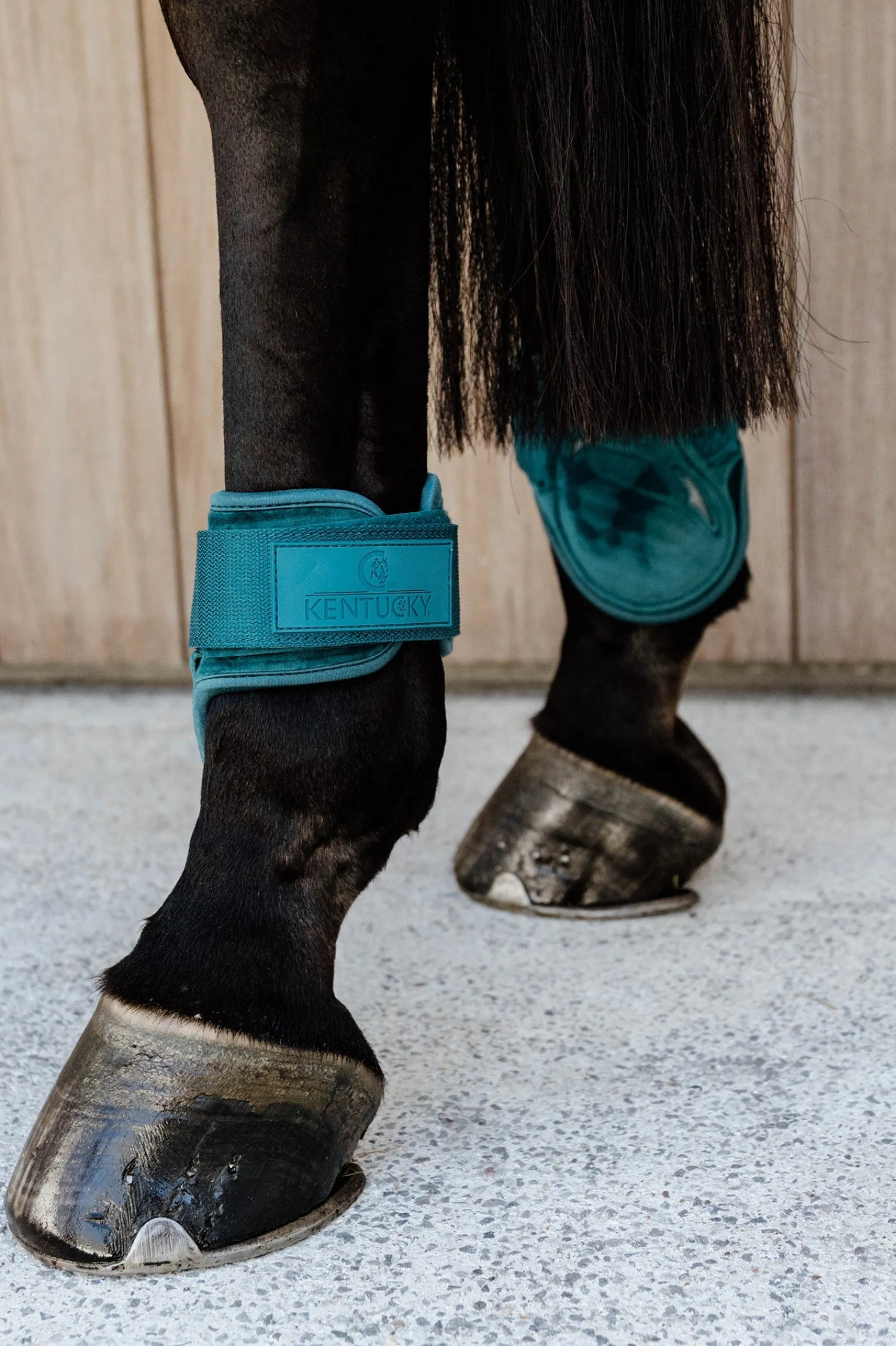 Kentucky Horsewear Velvet Streichkappen für Jungferde* Streichkappen