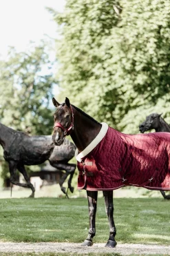 Kentucky Horsewear Velvet Turnierdecke, 160g* Stall- & Unterdecken