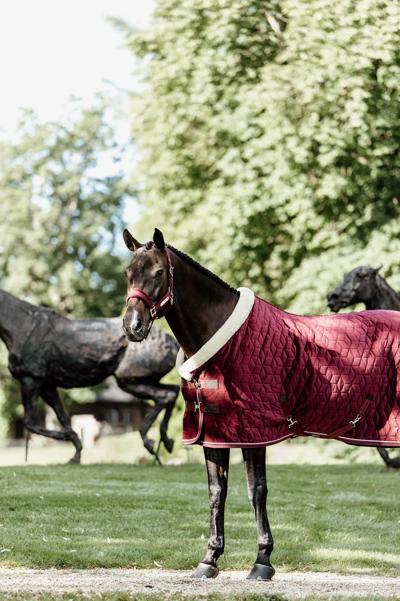 Kentucky Horsewear Velvet Turnierdecke, 160g* Stall- & Unterdecken