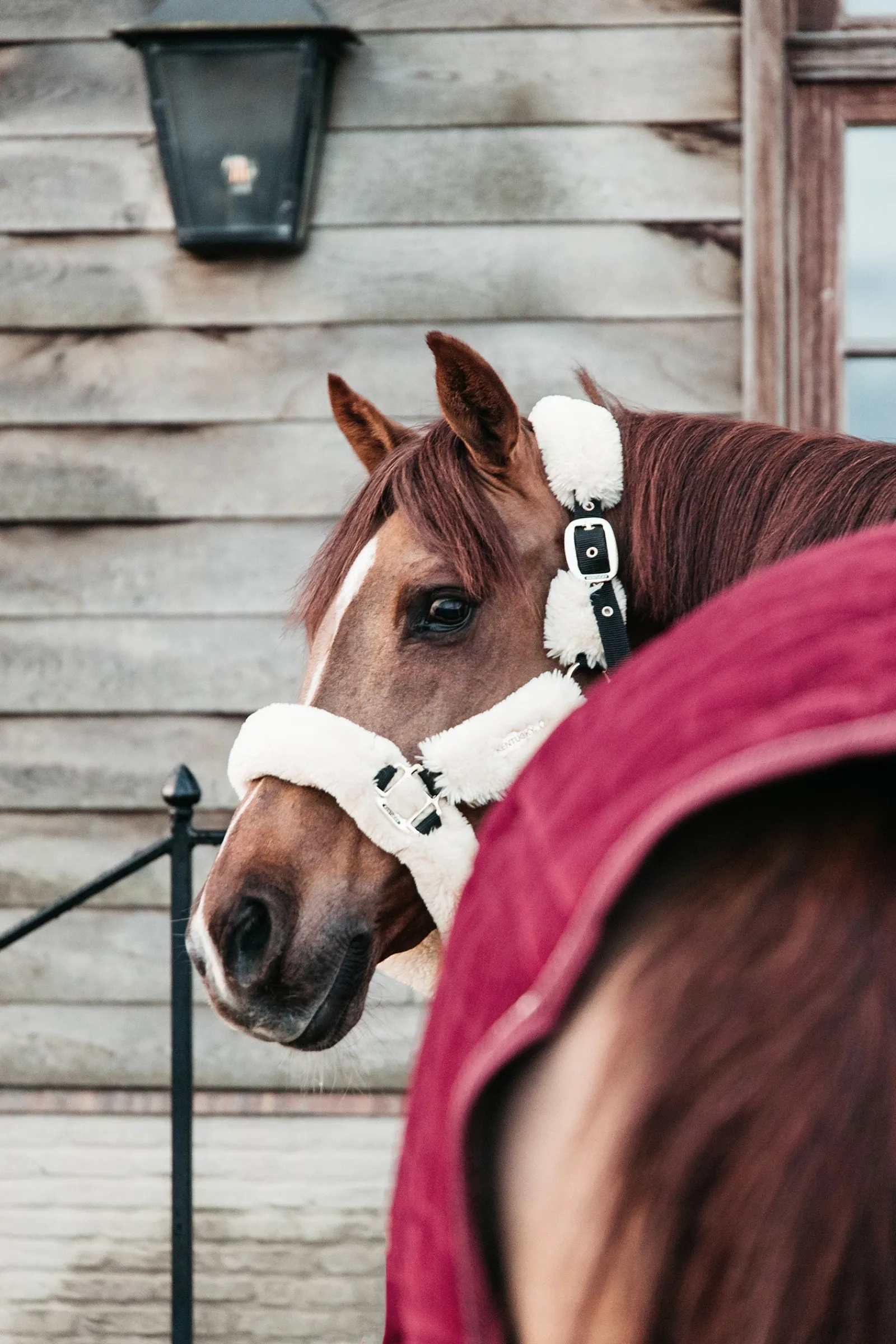 Kentucky Horsewear Velvet Turnierdecke, 160g* Stall- & Unterdecken