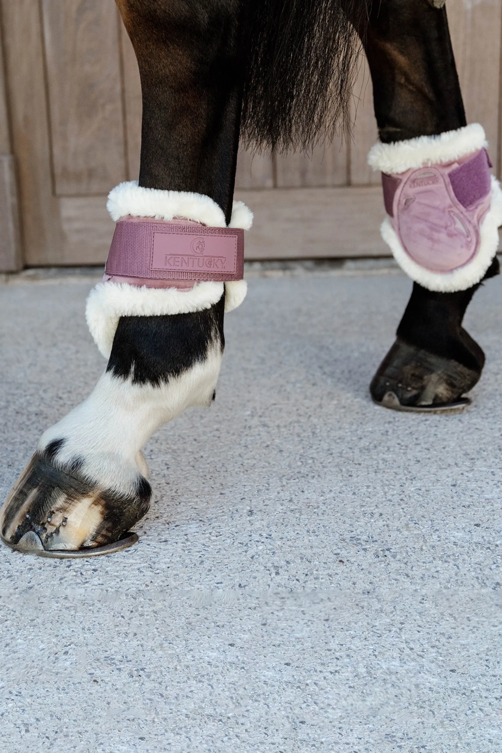 Kentucky Horsewear Velvet vegane Lammfell Streichkappen für Jungpferde* Streichkappen