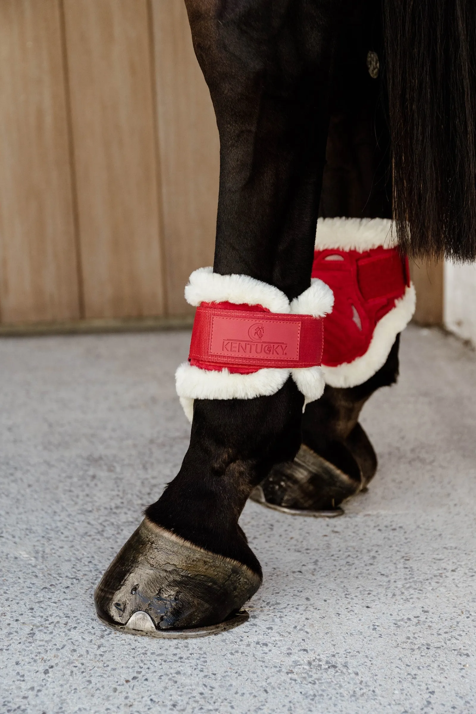Kentucky Horsewear Velvet vegane Lammfell Streichkappen für Jungpferde* Streichkappen