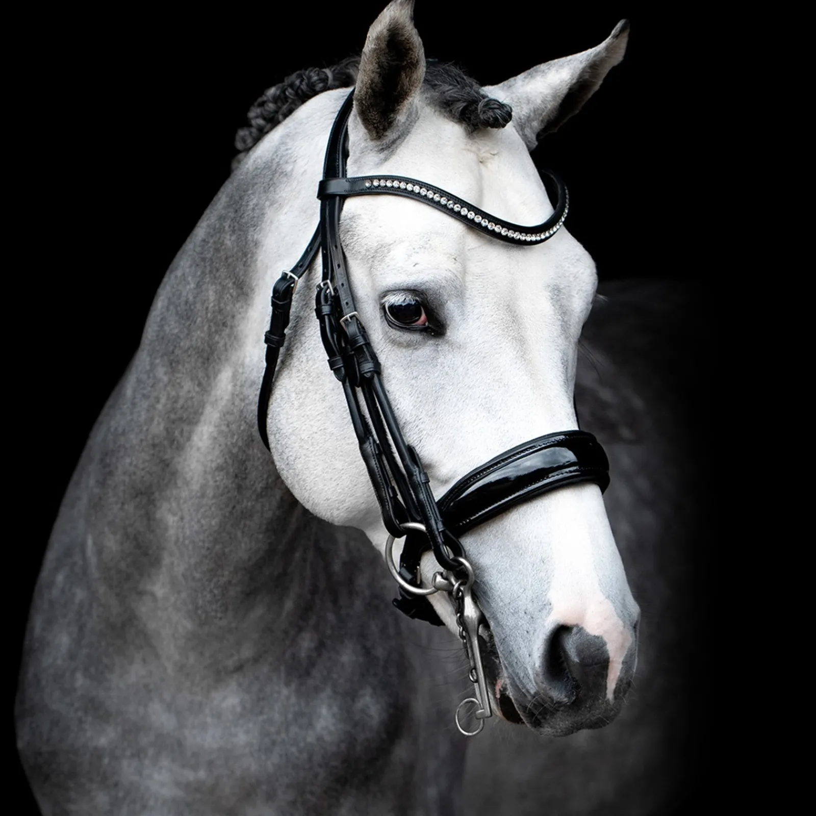 Schockemöhle Sports Venice Double Bridle* Trensen & Nasenriemen