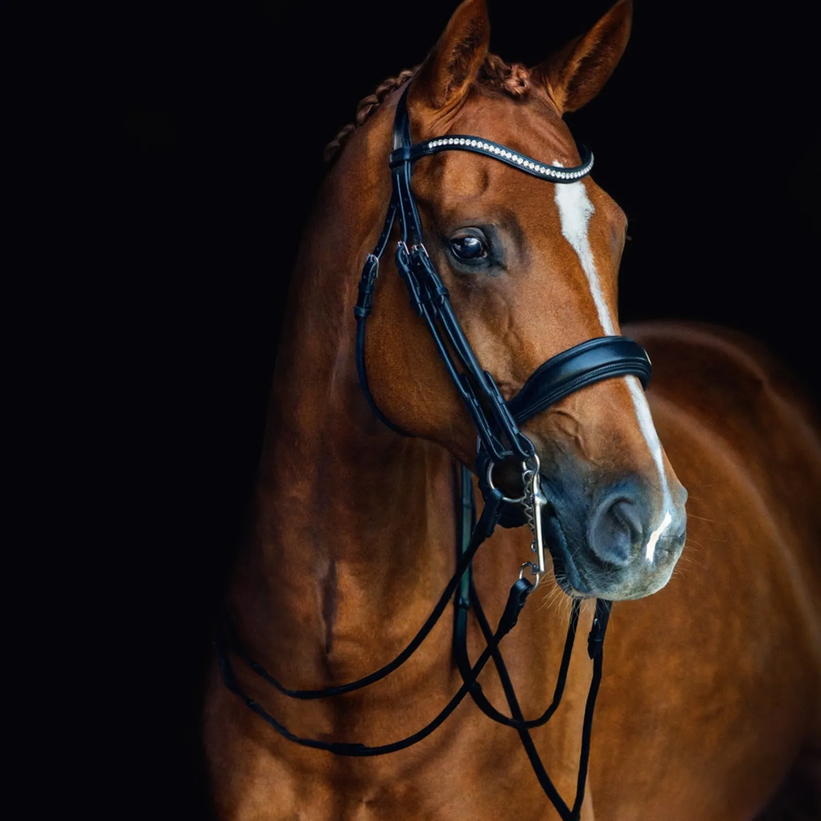 Schockemöhle Sports Venice Double Bridle* Trensen & Nasenriemen