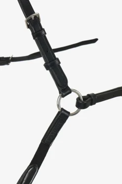 LeMieux Vorderzeug mit abnehmbarem Martingal* Vorderzeuge & Martingale