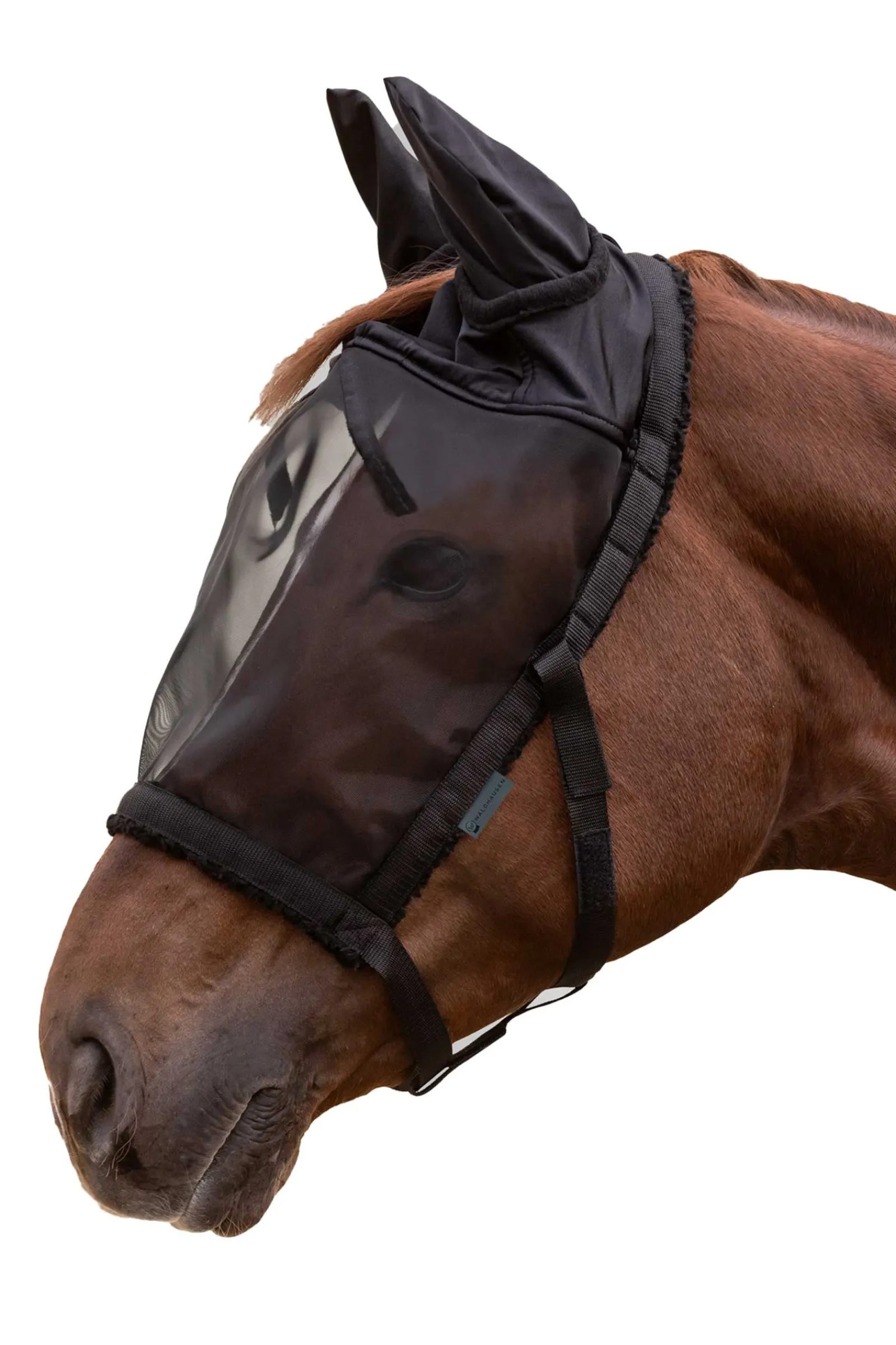 Waldhausen Weidehalfter mit Fliegenmaske* Fliegenmasken & Fliegenfransen