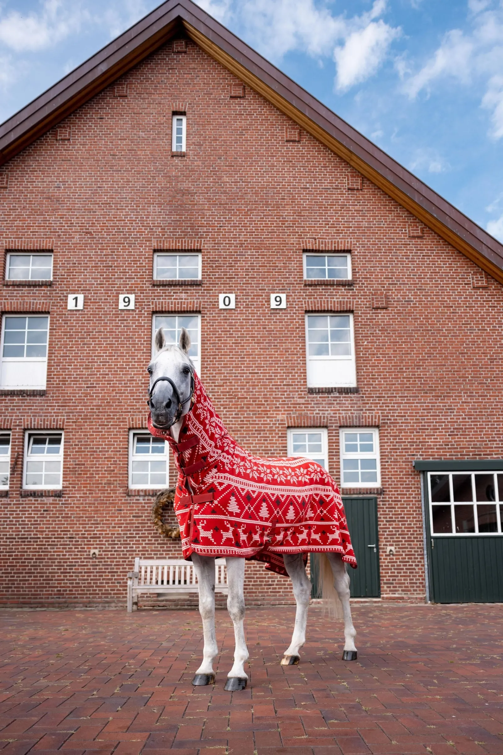 Horze Weihnachts-Pullover für Pferde* Abschwitzdecken