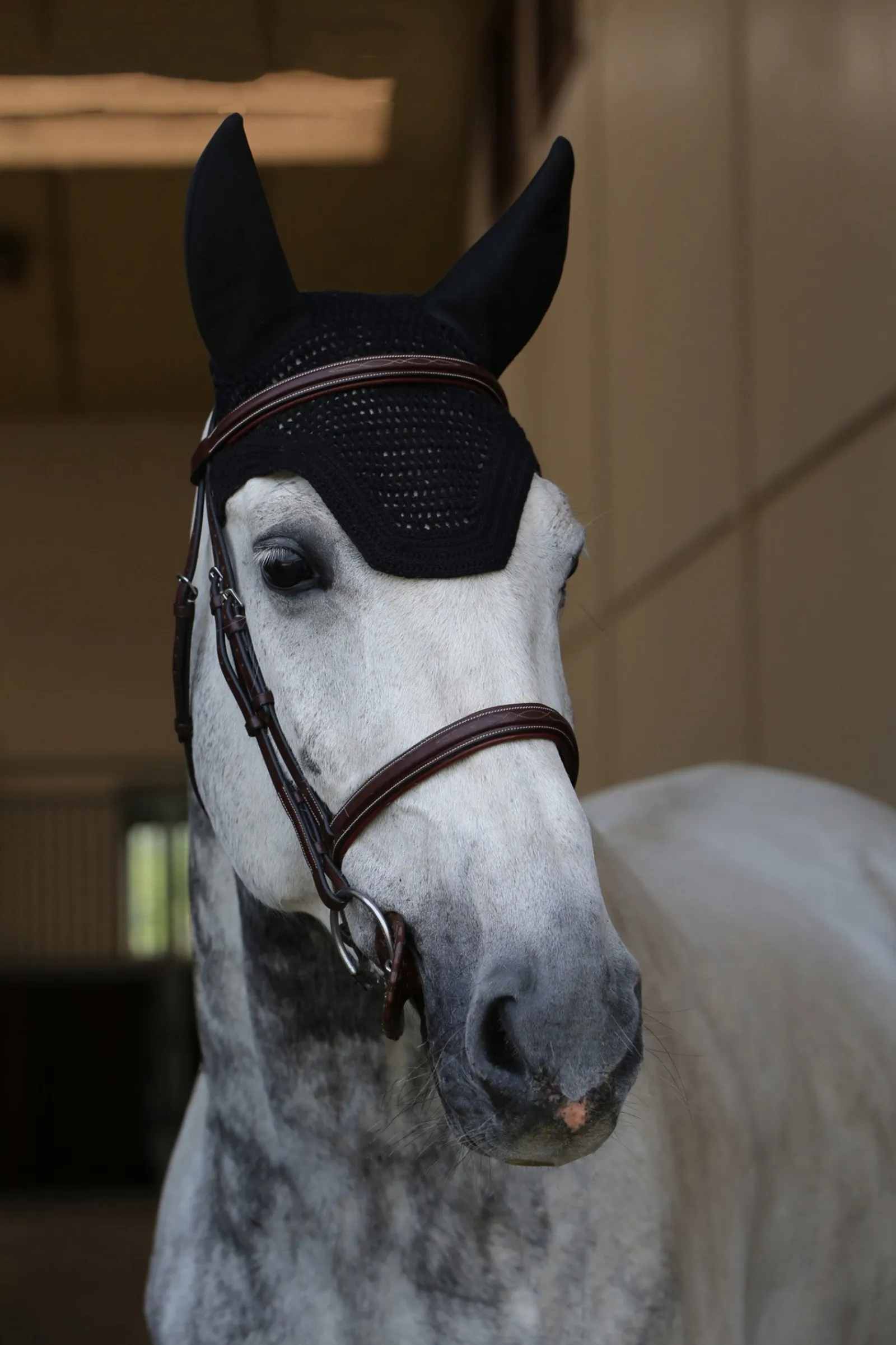 Kentucky Horsewear Wellington Fliegenhaube Schalldicht* Ohrenhauben|Ohrenhauben