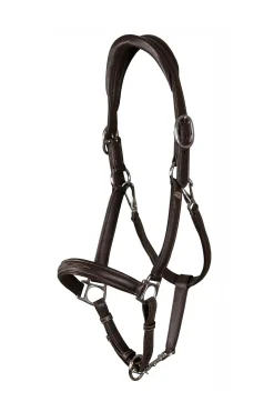 Dy'on Working weiches 2-in-1 Transporthalfter* Lederhalfter