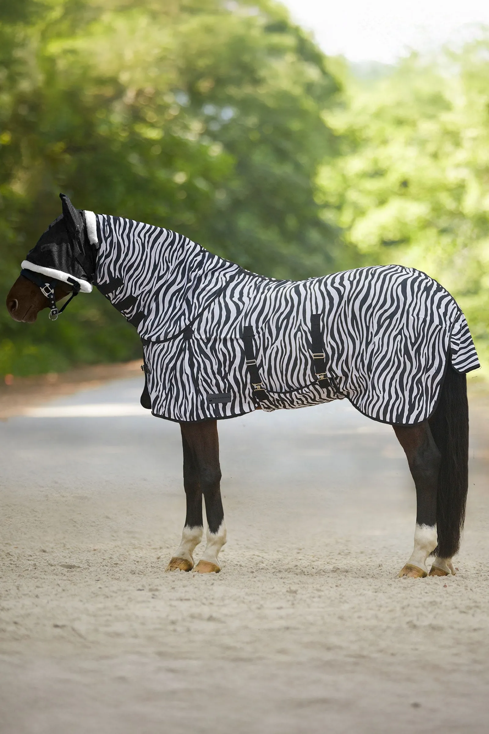 Waldhausen Zebra Fliegendecke mit geraden Bauchgurten* Fliegendecken