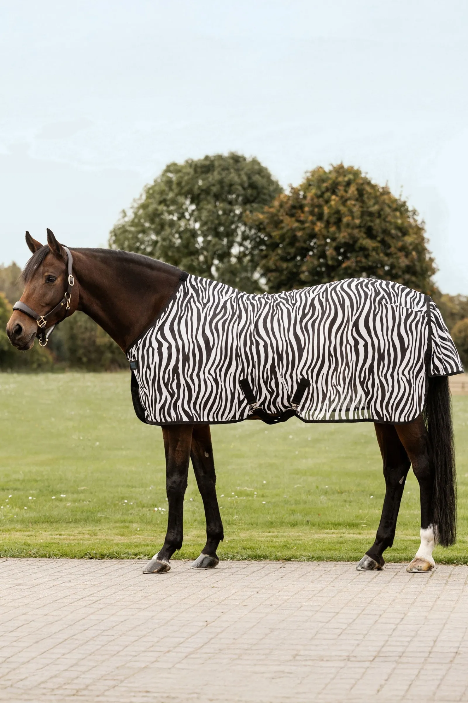 Waldhausen Zebra Fliegendecke mit Kreuzgurten* Fliegendecken