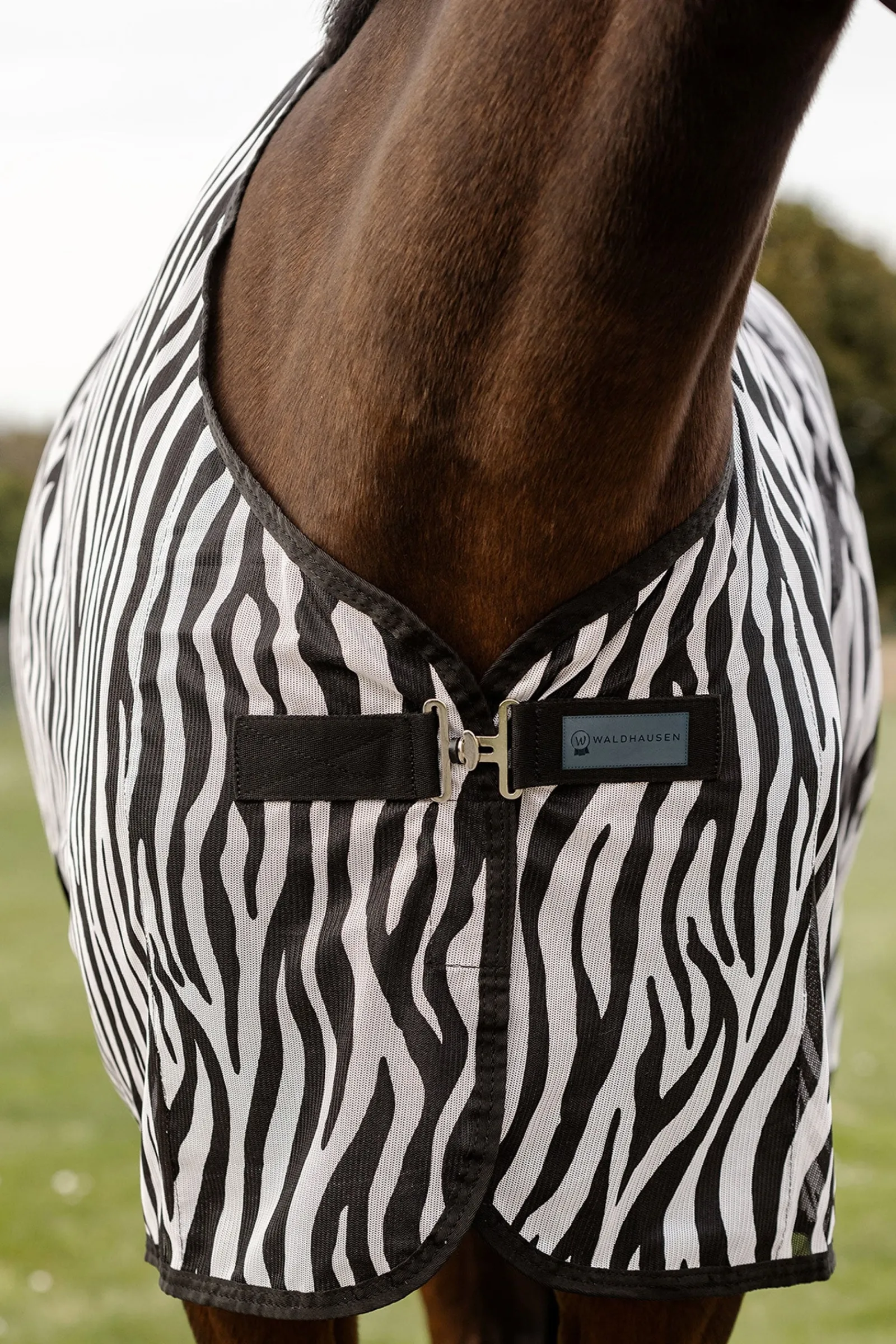 Waldhausen Zebra Fliegendecke mit Kreuzgurten* Fliegendecken